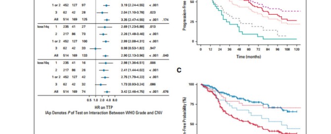 十大滚球体育app