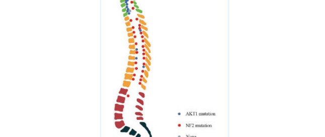 十大滚球体育app