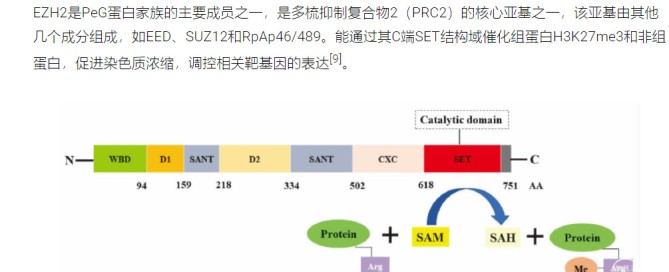 十大滚球体育app