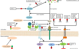 十大滚球体育app