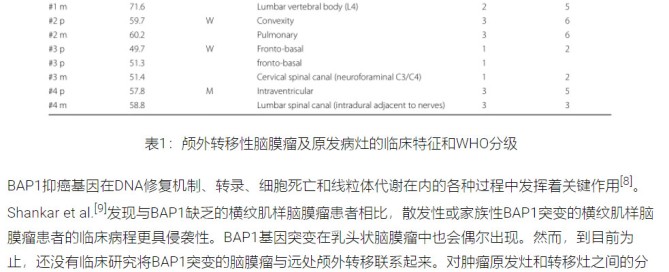 十大滚球体育app