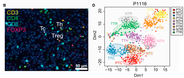 十大滚球体育app