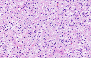 十大滚球体育app