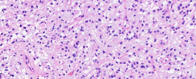 十大滚球体育app