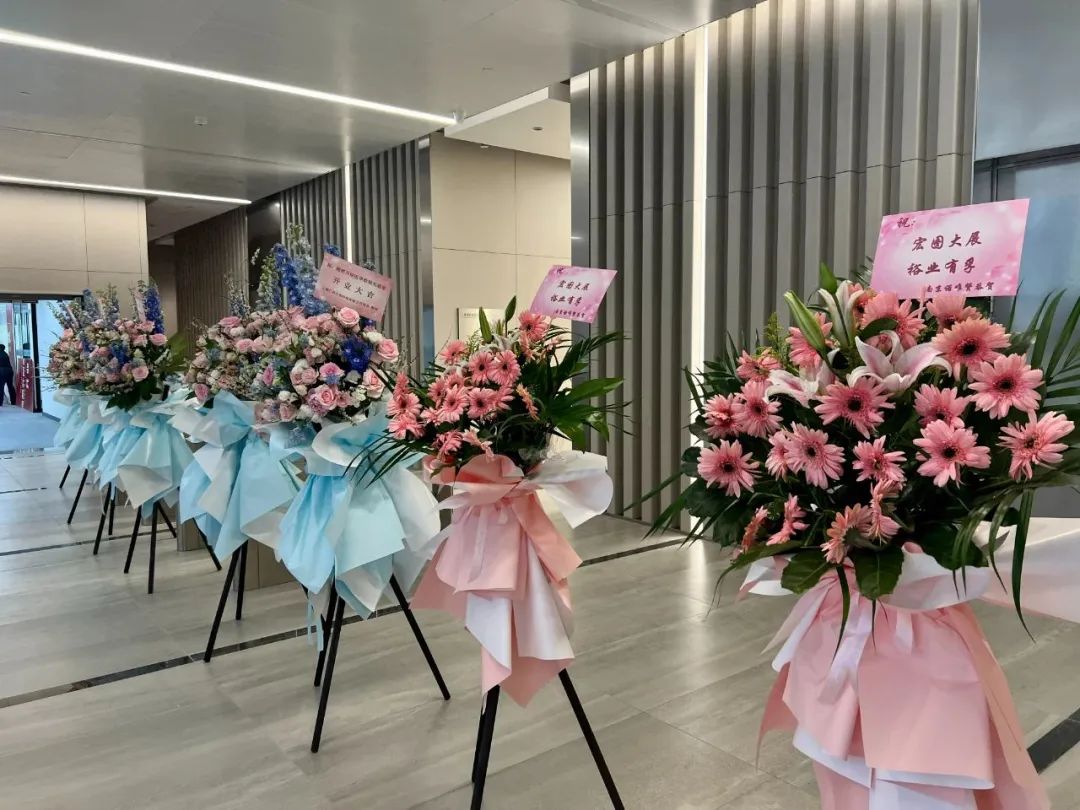 十大滚球体育app