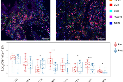 十大滚球体育app