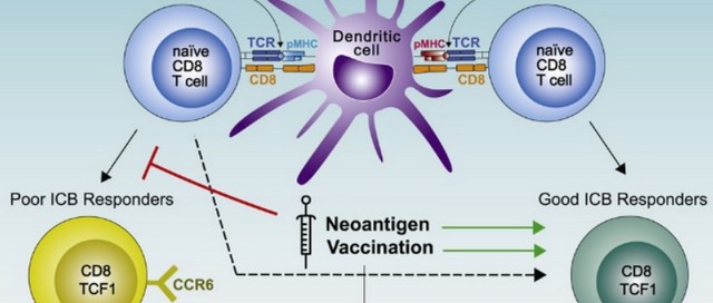 十大滚球体育app