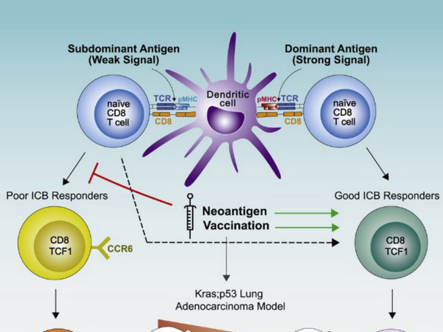 十大滚球体育app