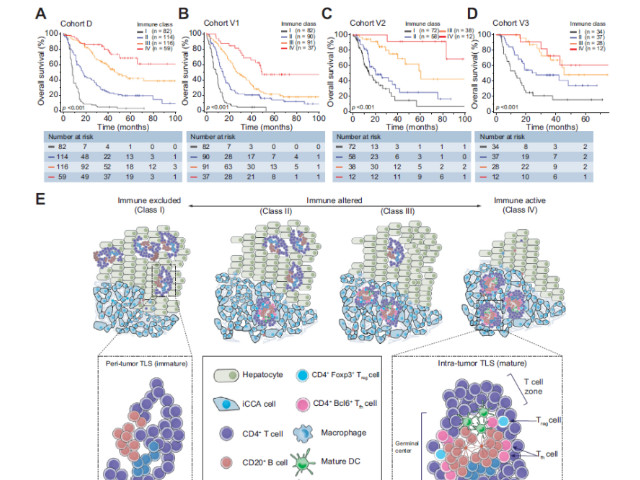 十大滚球体育app
