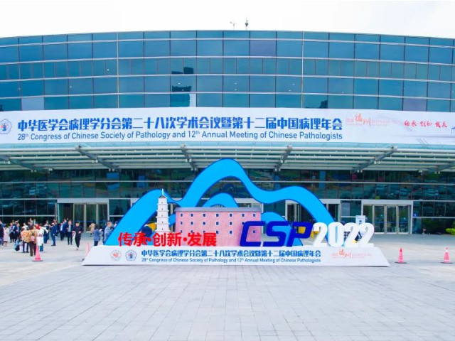 十大滚球体育app