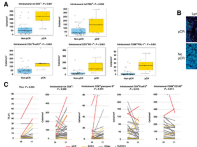 十大滚球体育app