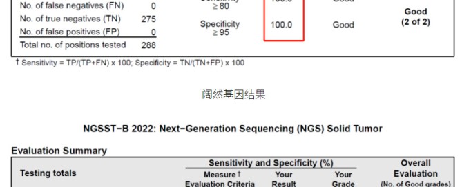 十大滚球体育app
