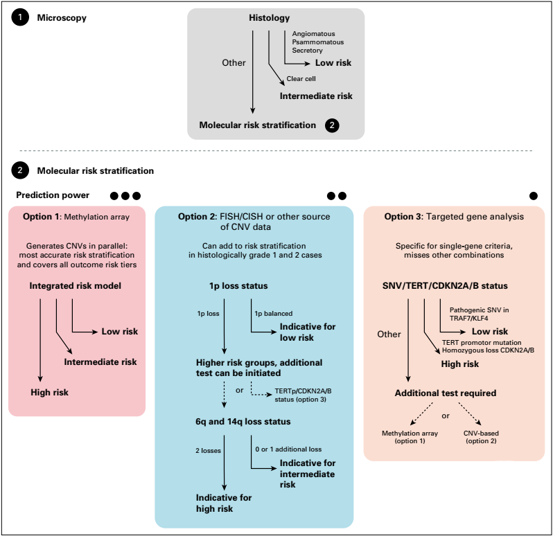 十大滚球体育app