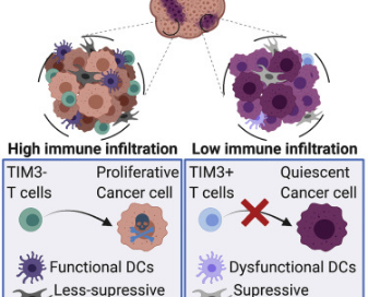 十大滚球体育app