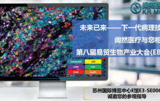 十大滚球体育app