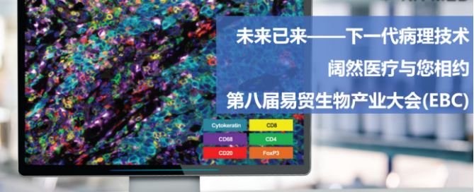 十大滚球体育app