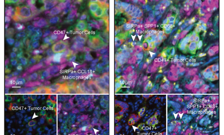 十大滚球体育app