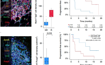 十大滚球体育app