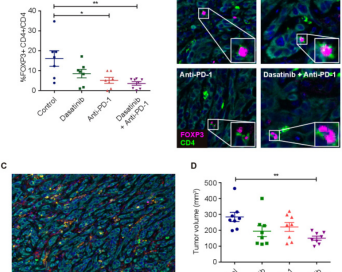 十大滚球体育app
