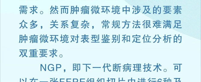 十大滚球体育app