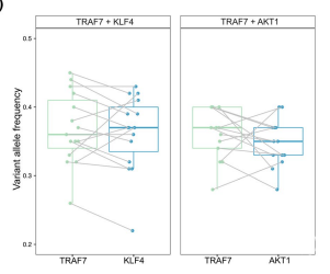3ae274474ba58ec32955dc8af7bb4678