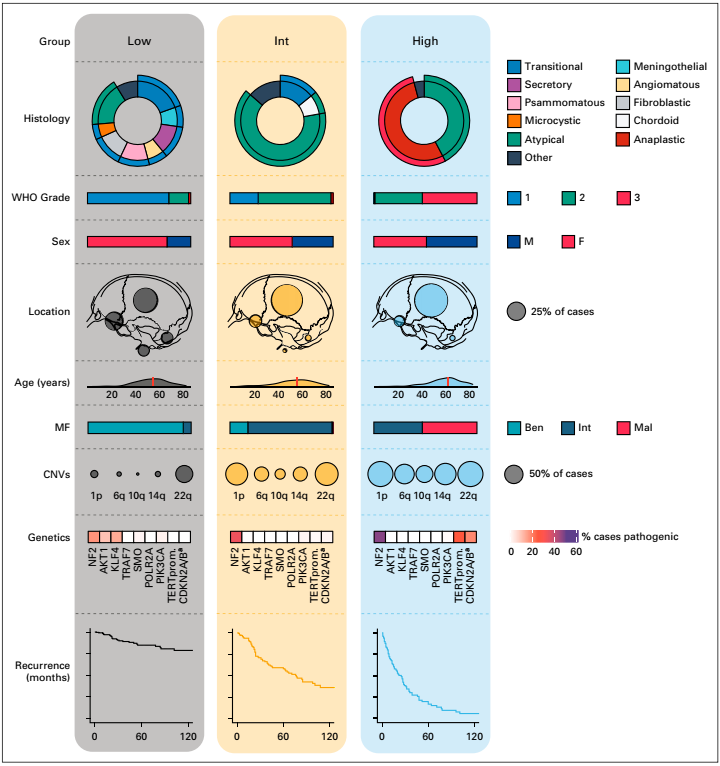 十大滚球体育app