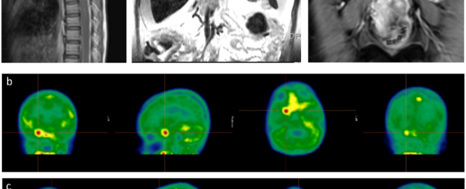十大滚球体育app