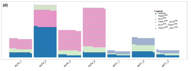 ae9f12103095352eb2dca744dfa176a2