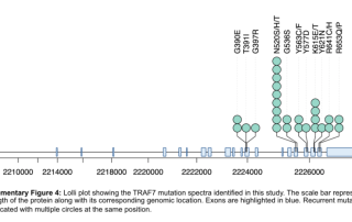 十大滚球体育app