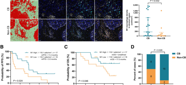 十大滚球体育app