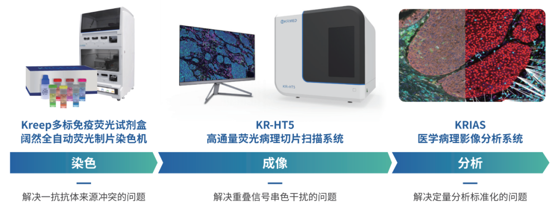 十大滚球体育app