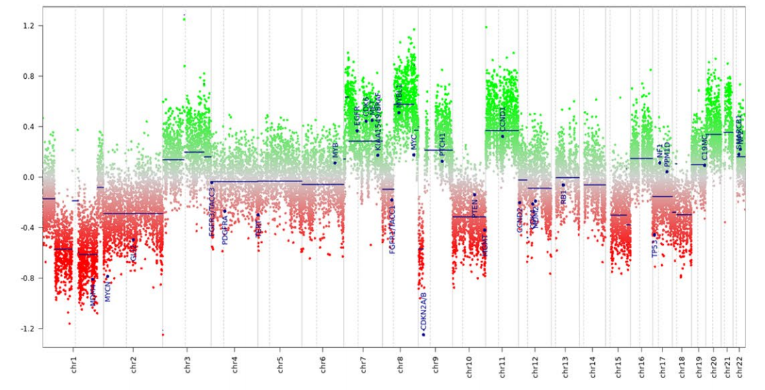 十大滚球体育app