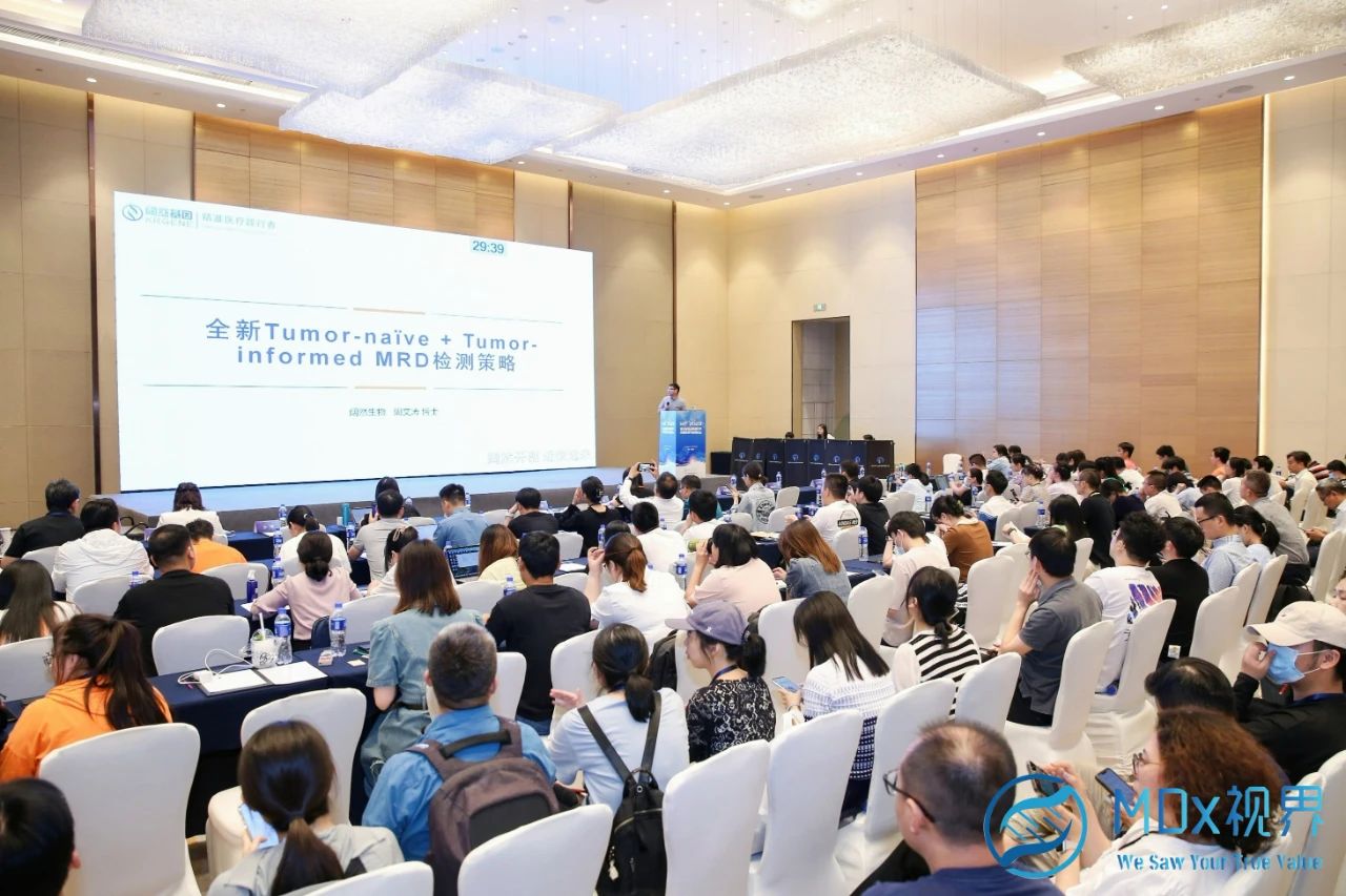 十大滚球体育app