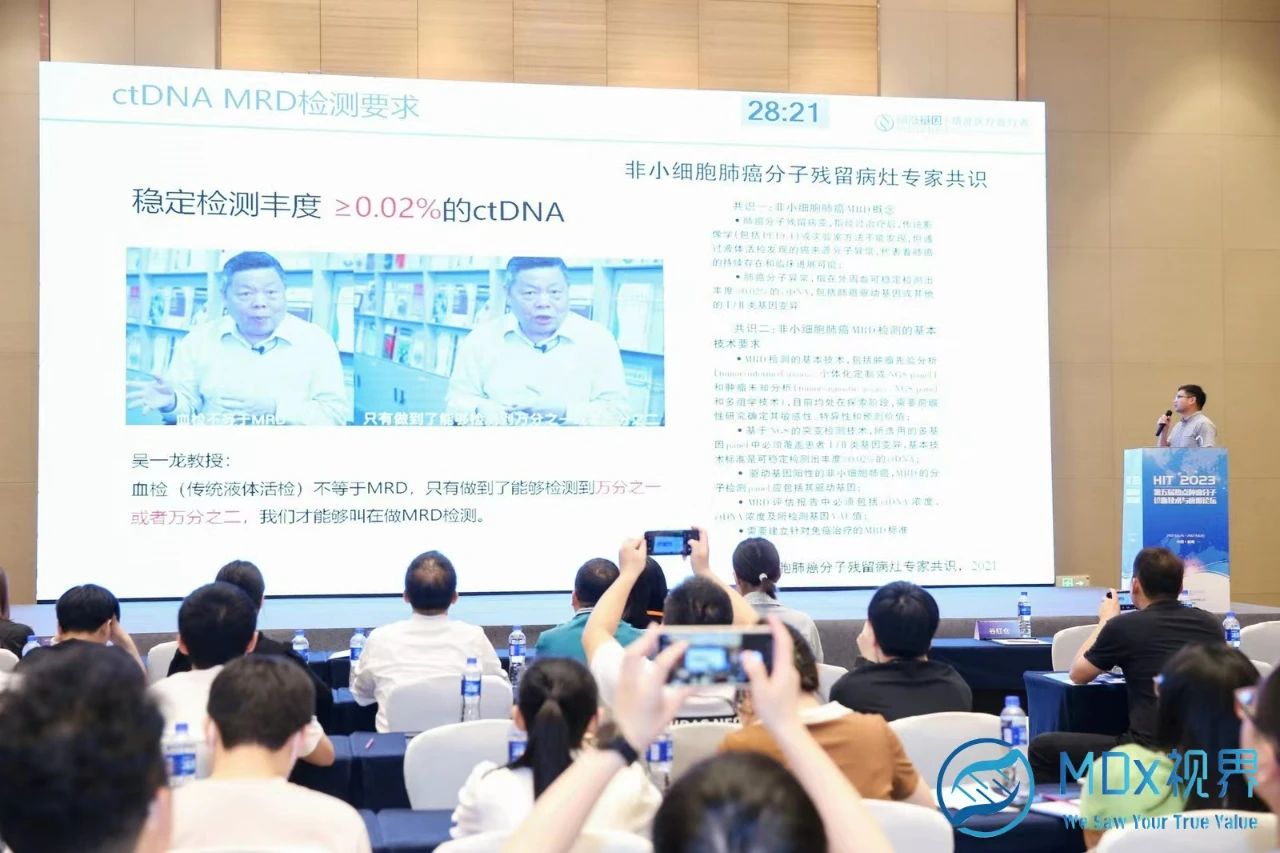 十大滚球体育app