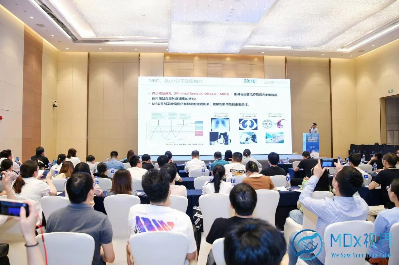 十大滚球体育app