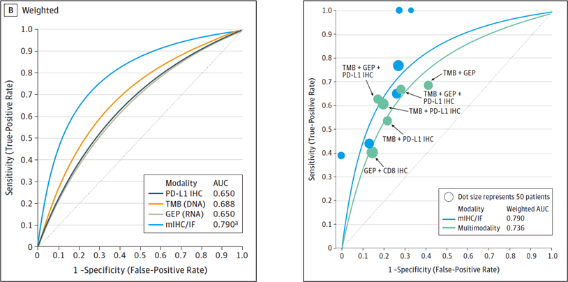 十大滚球体育app