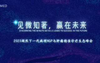 十大滚球体育app