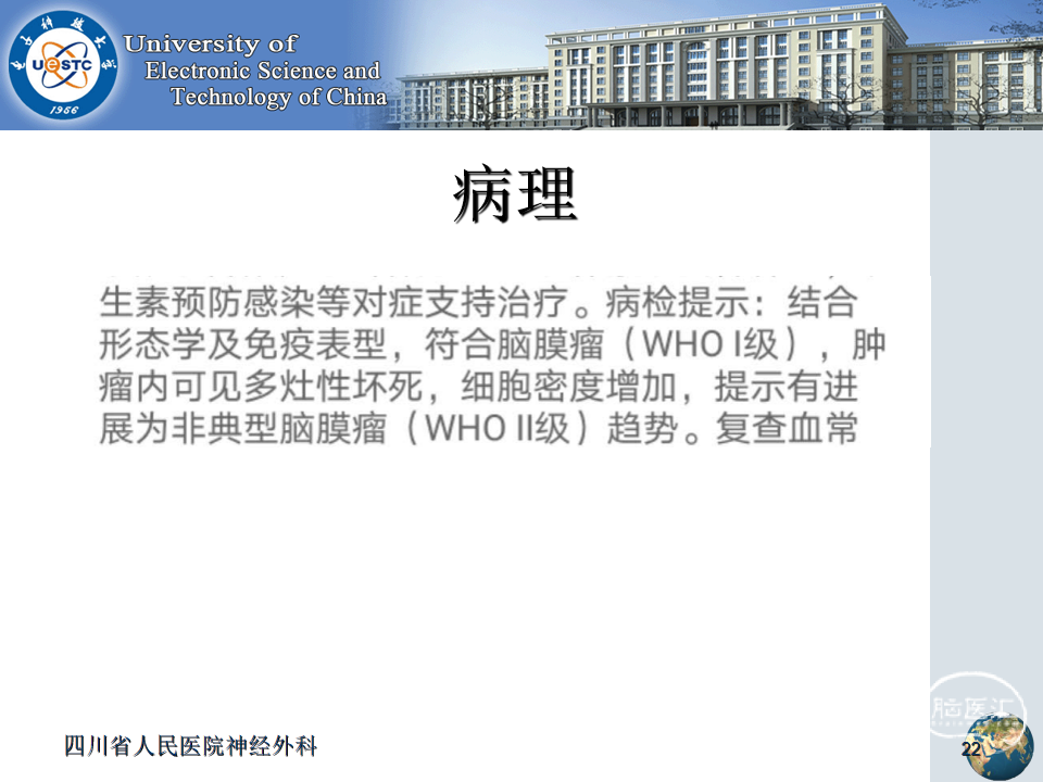 十大滚球体育app