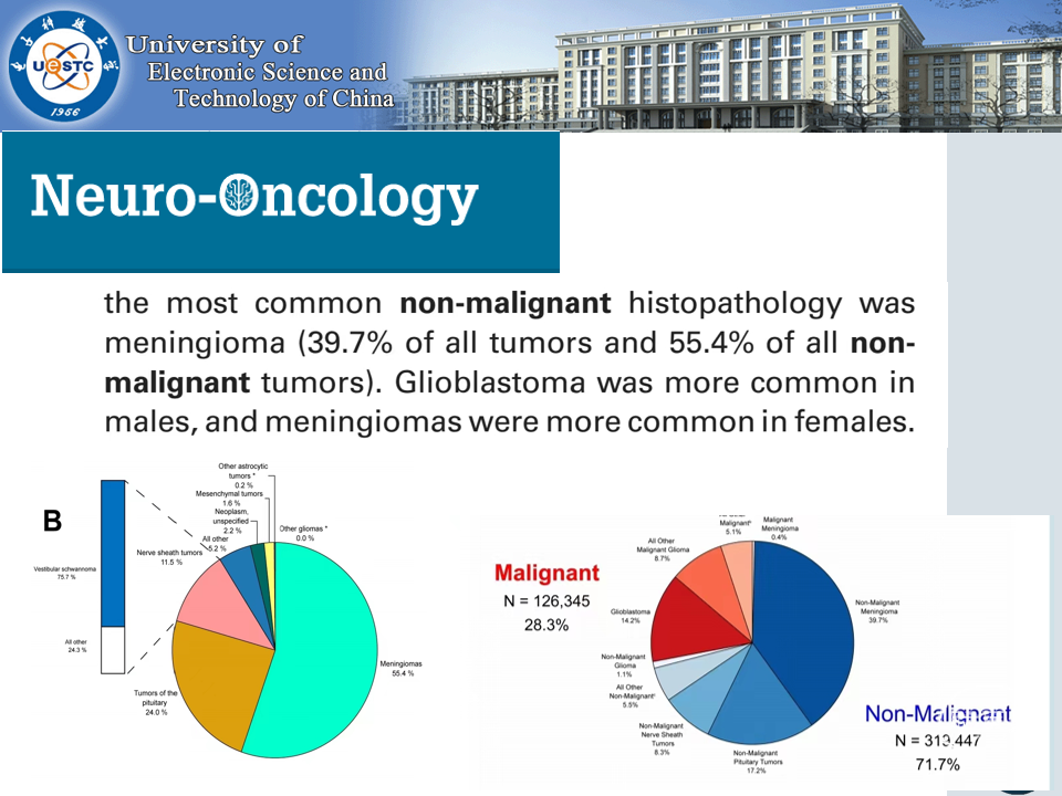 十大滚球体育app