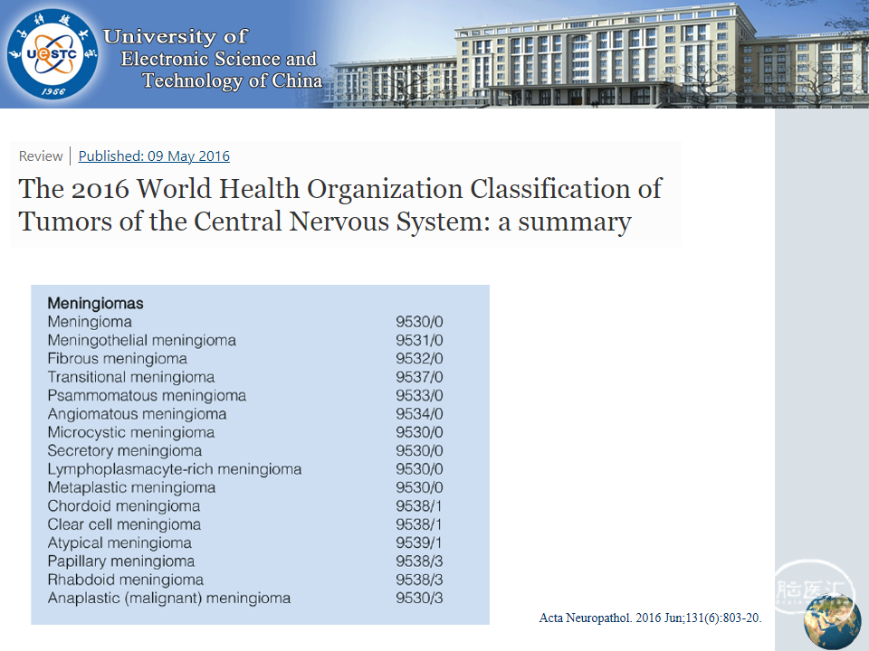 十大滚球体育app