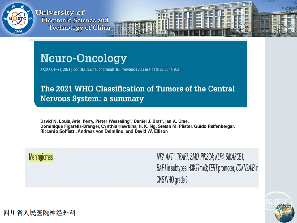 十大滚球体育app