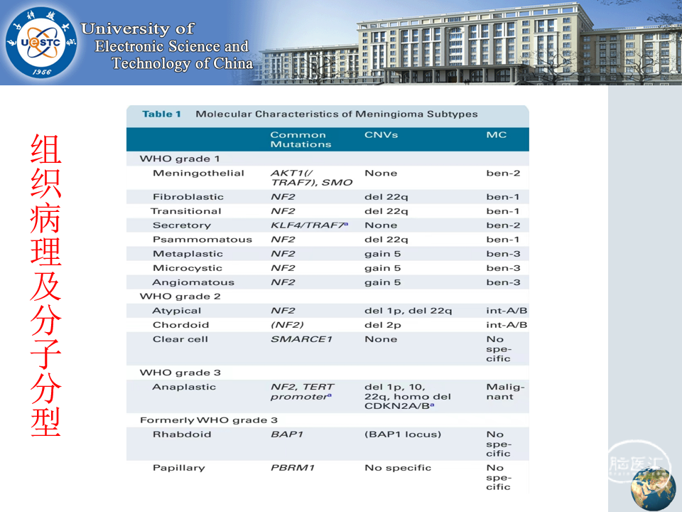 十大滚球体育app