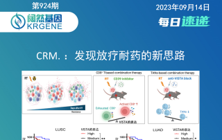 十大滚球体育app