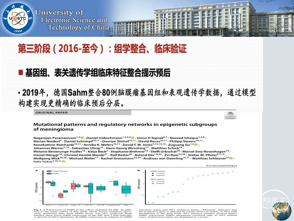 十大滚球体育app