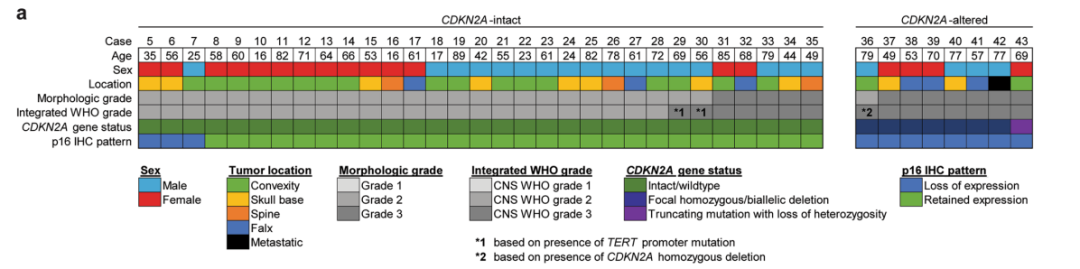 十大滚球体育app