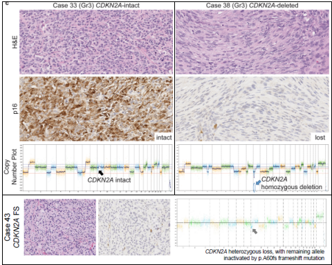 十大滚球体育app