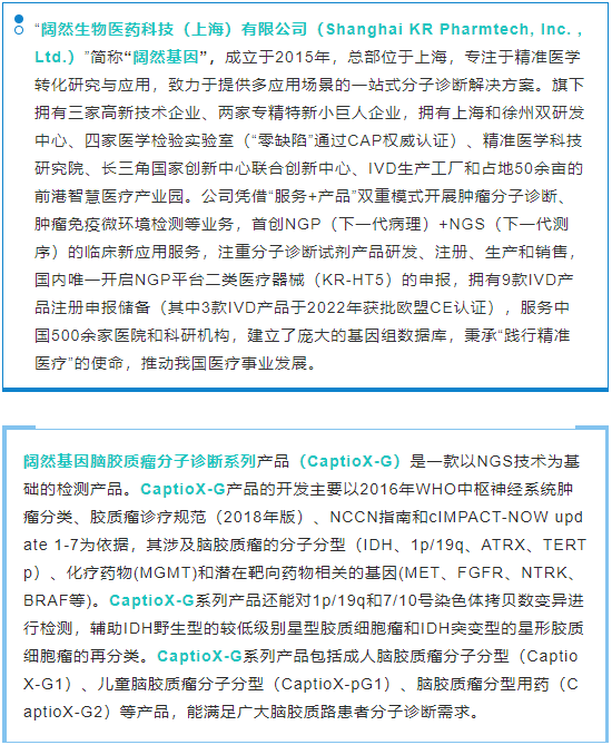 十大滚球体育app