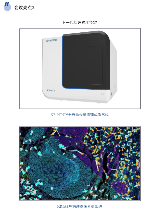 十大滚球体育app