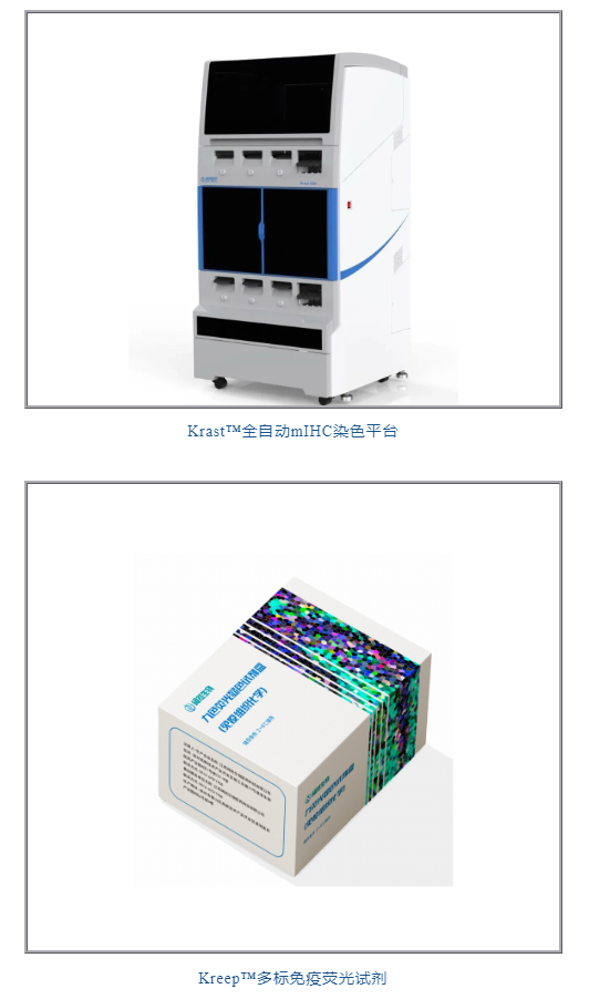 十大滚球体育app