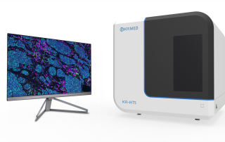 十大滚球体育app